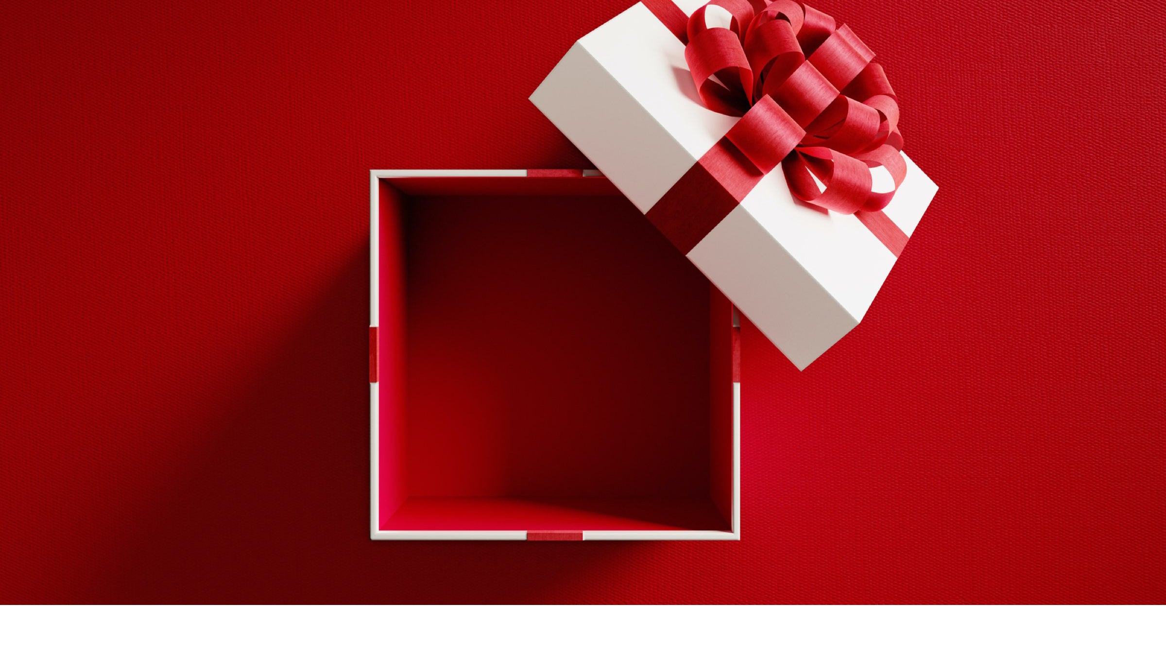 Holiday Gift Guide 2021
