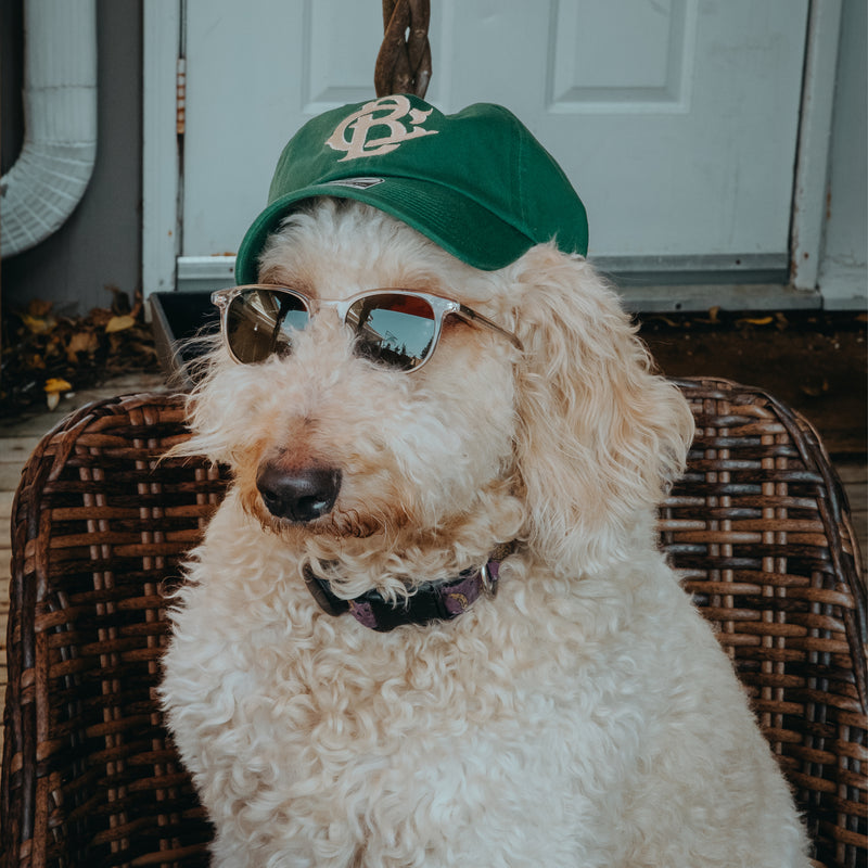 Cigar Bodega Clean Up Hat (Green) - '47 Brand